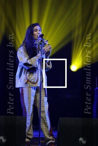 Amsterdam 12 februari 2018
Uitreiking Edison muziekprijzen in de westergasfabriek. Naaz