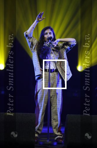 Amsterdam 12 februari 2018
Uitreiking Edison muziekprijzen in de westergasfabriek. Naaz