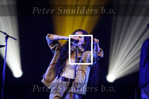 Amsterdam 12 februari 2018
Uitreiking Edison muziekprijzen in de westergasfabriek. Naaz