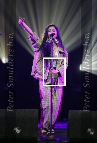 Amsterdam 12 februari 2018
Uitreiking Edison muziekprijzen in de westergasfabriek. Naaz