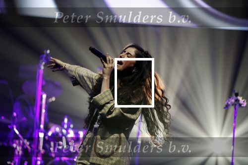 Amsterdam 12 februari 2018
Uitreiking Edison muziekprijzen in de westergasfabriek. Naaz