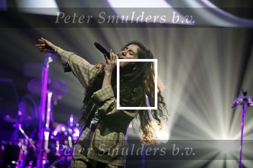 Amsterdam 12 februari 2018
Uitreiking Edison muziekprijzen in de westergasfabriek. Naaz