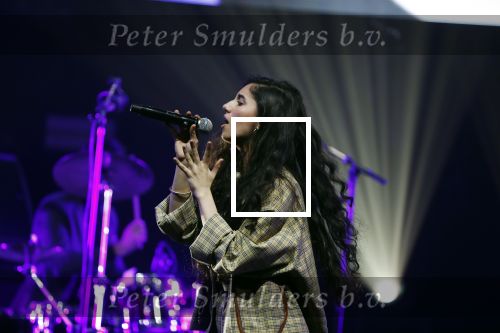 Amsterdam 12 februari 2018
Uitreiking Edison muziekprijzen in de westergasfabriek. Naaz