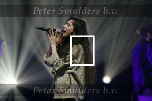 Amsterdam 12 februari 2018
Uitreiking Edison muziekprijzen in de westergasfabriek. Naaz