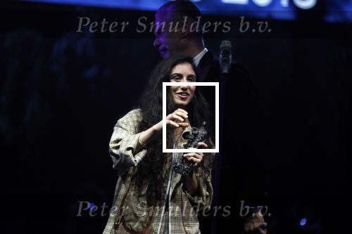 Amsterdam 12 februari 2018
Uitreiking Edison muziekprijzen in de westergasfabriek. Naaz