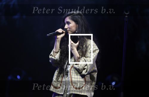 Amsterdam 12 februari 2018
Uitreiking Edison muziekprijzen in de westergasfabriek. Naaz