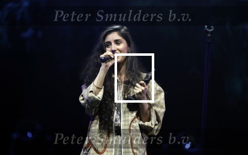 Amsterdam 12 februari 2018
Uitreiking Edison muziekprijzen in de westergasfabriek. Naaz