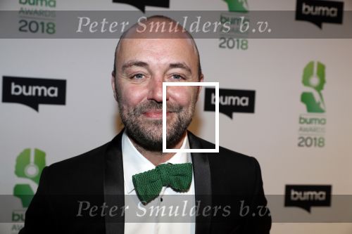 Amsterdam 5 maart 2018 
Buma prijzen in theater Amsterdam. Niels Geusebroek