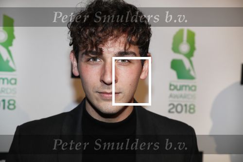 Amsterdam 5 maart 2018 
Buma prijzen in theater Amsterdam. Nielson