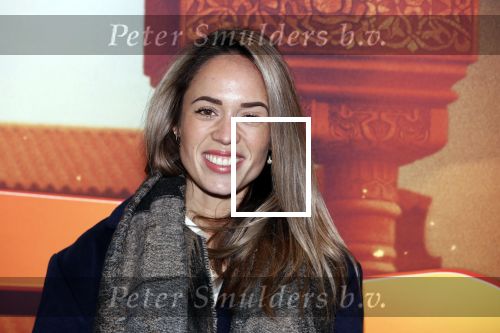 Amsterdam 11 februari 2018
Premiere Ted en het geheim van koning Midas in Pathe arena. Nienke Plas met zoontje en partner