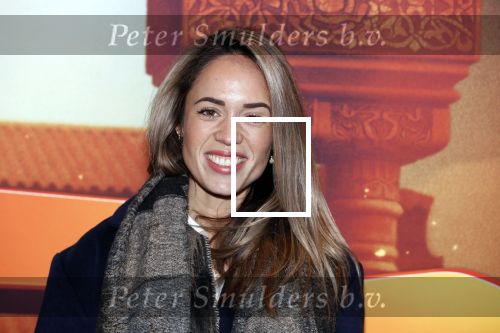 Amsterdam 11 februari 2018
Premiere Ted en het geheim van koning Midas in Pathe arena. Nienke Plas met zoontje en partner