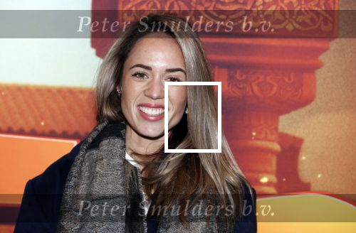 Amsterdam 11 februari 2018
Premiere Ted en het geheim van koning Midas in Pathe arena. Nienke Plas met zoontje en partner
