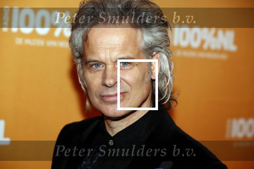 Amsterdam 20 februari 2018
Uitreiking 100% NL awards in club Panama. Norman Bonink