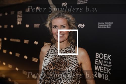 Amsterdam 9 maart 2018 
Boekenbal 2018 in de schouwburg van Amsterdam. patricia Snel