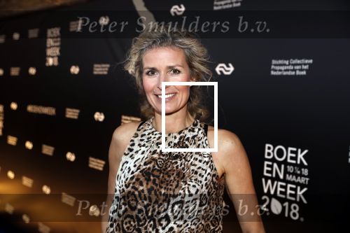 Amsterdam 9 maart 2018 
Boekenbal 2018 in de schouwburg van Amsterdam. patricia Snel