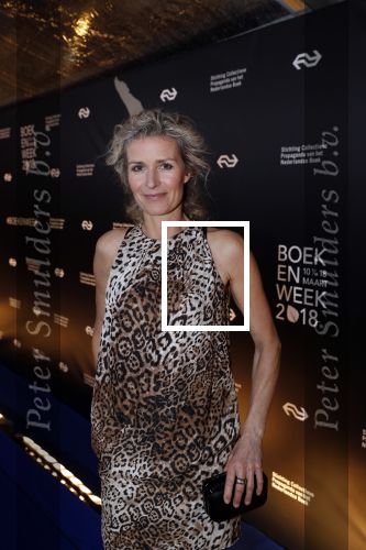 Amsterdam 9 maart 2018 
Boekenbal 2018 in de schouwburg van Amsterdam. patricia Snel