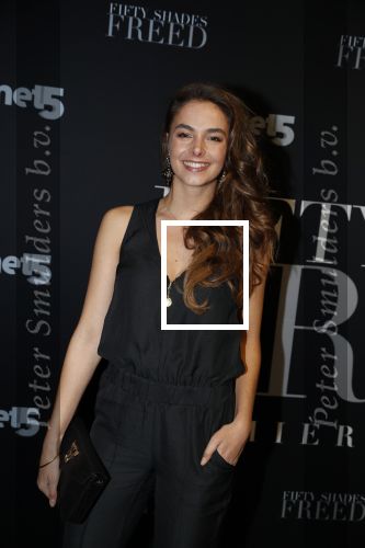 Amsterdam 6 februari 2018
Premiere 50 shades Freed in Tuschinski.