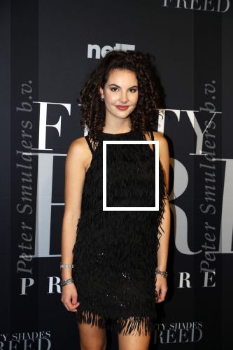 Amsterdam 6 februari 2018
Premiere 50 shades Freed in Tuschinski.