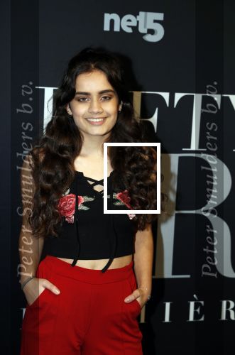Amsterdam 6 februari 2018
Premiere 50 shades Freed in Tuschinski.