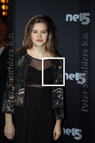 Amsterdam 6 februari 2018
Premiere 50 shades Freed in Tuschinski.
