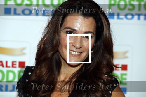 Amsterdam 15 februari 2018
Goed geld gala van de postcodeloterij in carre met als speciale gasten Rafael Nadal met vrouw en Leonardo de Caprio. Quinty Trustfull