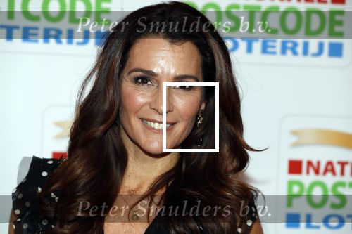 Amsterdam 15 februari 2018
Goed geld gala van de postcodeloterij in carre met als speciale gasten Rafael Nadal met vrouw en Leonardo de Caprio. Quinty Trustfull