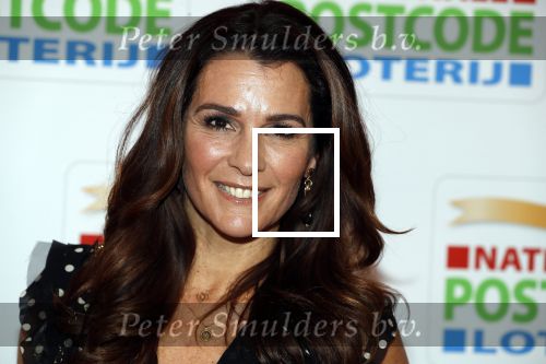 Amsterdam 15 februari 2018
Goed geld gala van de postcodeloterij in carre met als speciale gasten Rafael Nadal met vrouw en Leonardo de Caprio. Quinty Trustfull