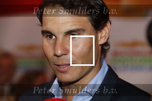 Amsterdam 15 februari 2018
Goed geld gala van de postcodeloterij in carre met als speciale gasten Rafael Nadal met vrouw en Leonardo de Caprio.