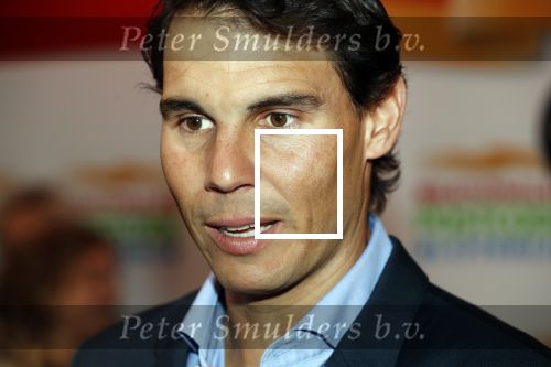 Amsterdam 15 februari 2018
Goed geld gala van de postcodeloterij in carre met als speciale gasten Rafael Nadal met vrouw en Leonardo de Caprio.