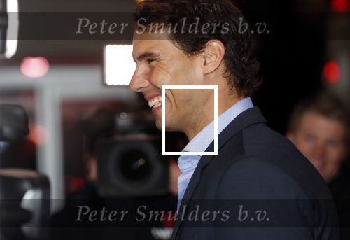 Amsterdam 15 februari 2018
Goed geld gala van de postcodeloterij in carre met als speciale gasten Rafael Nadal met vrouw en Leonardo de Caprio.
