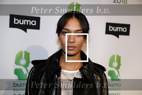 Amsterdam 5 maart 2018 
Buma prijzen in theater Amsterdam, Rochelle Perts