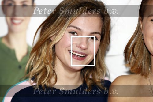 Amsterdam 12 februari 2018
Premiere Gek van Oranje in Tuschinski. Romy Gevers