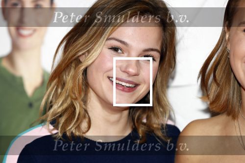 Amsterdam 12 februari 2018
Premiere Gek van Oranje in Tuschinski. Romy Gevers