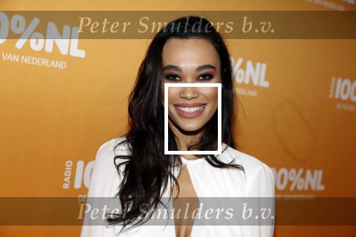Amsterdam 20 februari 2018
Uitreiking 100% NL awards in club Panama. Romy Monteiro
