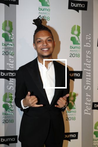 Amsterdam 5 maart 2018 
Buma prijzen in theater Amsterdam. Ronnie Flex