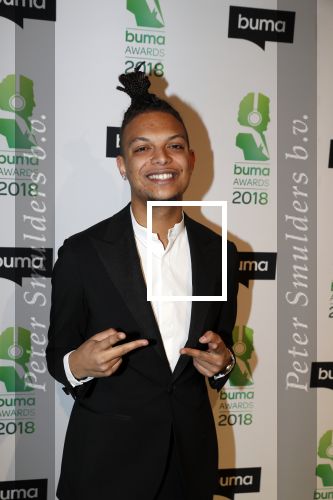 Amsterdam 5 maart 2018 
Buma prijzen in theater Amsterdam. Ronnie Flex