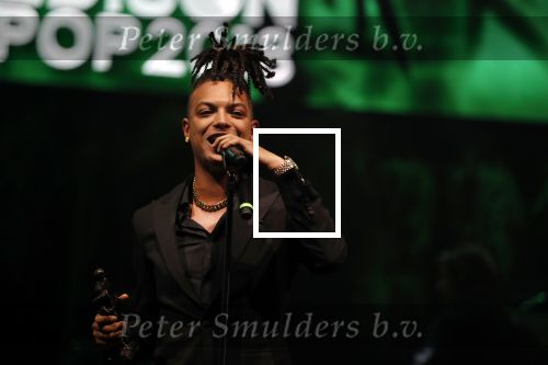Amsterdam 12 februari 2018
Uitreiking Edison muziekprijzen in de westergasfabriek. Ronnie Flex