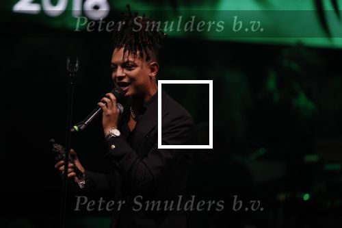 Amsterdam 12 februari 2018
Uitreiking Edison muziekprijzen in de westergasfabriek. Ronnie Flex