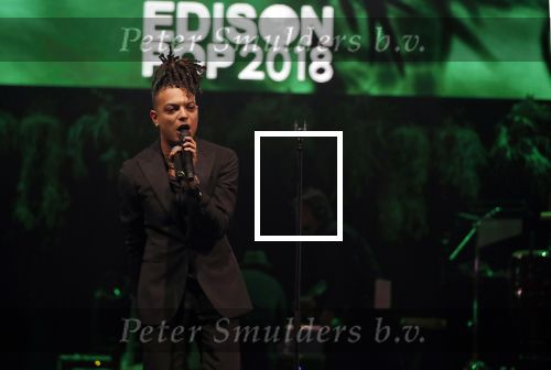 Amsterdam 12 februari 2018
Uitreiking Edison muziekprijzen in de westergasfabriek. Ronnie Flex