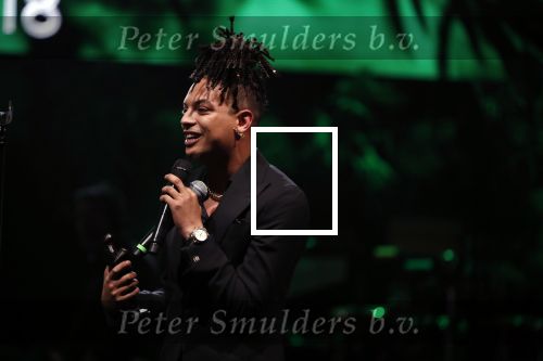 Amsterdam 12 februari 2018
Uitreiking Edison muziekprijzen in de westergasfabriek. Ronnie Flex