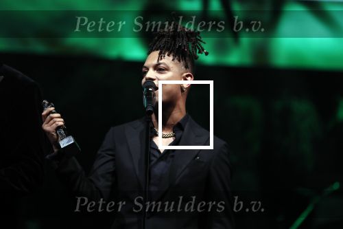 Amsterdam 12 februari 2018
Uitreiking Edison muziekprijzen in de westergasfabriek. Ronnie Flex
