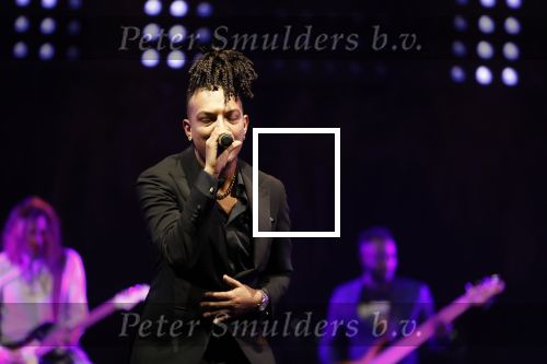 Amsterdam 12 februari 2018
Uitreiking Edison muziekprijzen in de westergasfabriek. Ronnie Flex