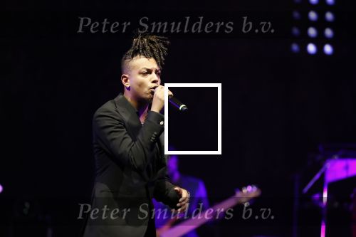 Amsterdam 12 februari 2018
Uitreiking Edison muziekprijzen in de westergasfabriek. Ronnie Flex