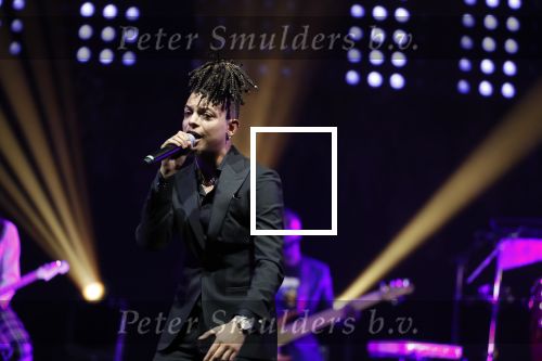 Amsterdam 12 februari 2018
Uitreiking Edison muziekprijzen in de westergasfabriek. Ronnie Flex