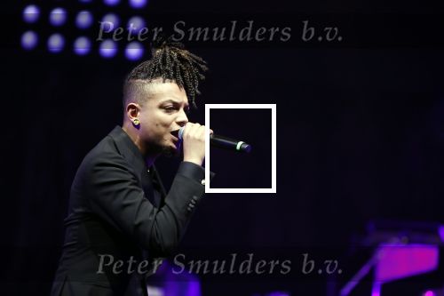 Amsterdam 12 februari 2018
Uitreiking Edison muziekprijzen in de westergasfabriek. Ronnie Flex