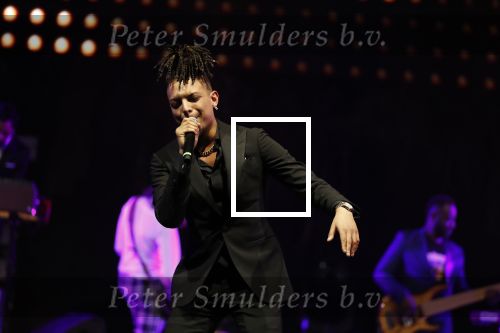 Amsterdam 12 februari 2018
Uitreiking Edison muziekprijzen in de westergasfabriek. Ronnie Flex
