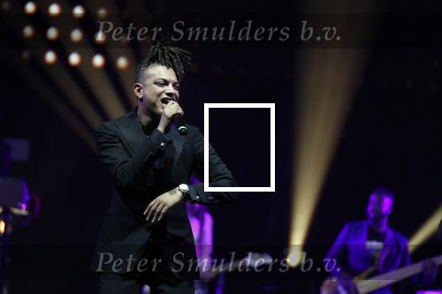 Amsterdam 12 februari 2018
Uitreiking Edison muziekprijzen in de westergasfabriek. Ronnie Flex