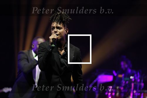Amsterdam 12 februari 2018
Uitreiking Edison muziekprijzen in de westergasfabriek. Ronnie Flex