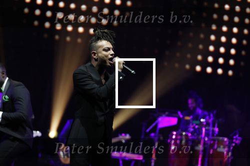 Amsterdam 12 februari 2018
Uitreiking Edison muziekprijzen in de westergasfabriek. Ronnie Flex