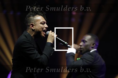 Amsterdam 12 februari 2018
Uitreiking Edison muziekprijzen in de westergasfabriek. Ronnie Flex